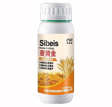 ���S��-��ɭ��