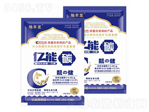 �n��-�|��̼