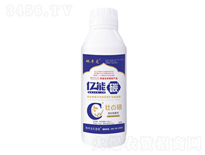 �ѴT1000ML-�|��̼