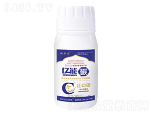 �ѴT250ML-�|��̼