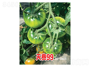 天賚99-忠農(nóng)坤創(chuàng)