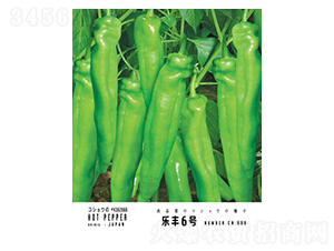 樂豐6號-忠農(nóng)坤創(chuàng)