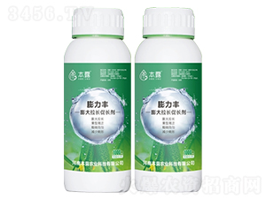 ������L�̼���-�����S-��¶