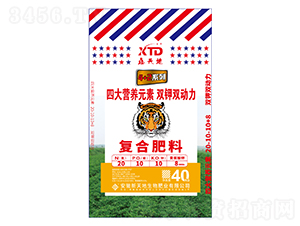 ��(f��)�Ϸ���20-10-10-8-�����