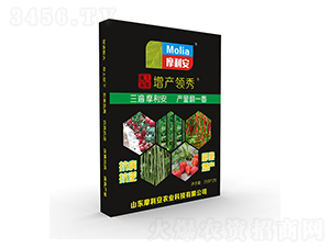 地上茄果增產(chǎn)領(lǐng)秀-摩利安