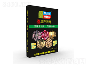 地下塊莖增產(chǎn)領(lǐng)秀-摩利安