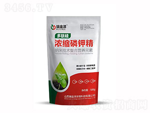 ���Ĺ��s��⛾�-��������