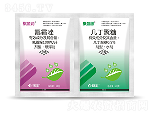 ��˪��+�׶�����-��ӯ��-���S�r�I(y��)