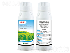 40%���Ѽ׭h(hu��n)��Ҹ���-���S�r(n��ng)�I(y��)