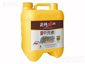 �ך���-������-���P�