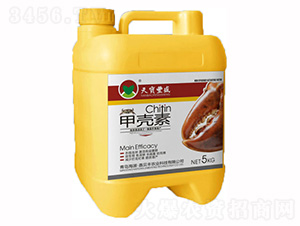 �ך���-�쌚�Sʢ-���P�