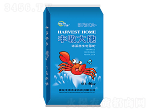 ����΢�������-�S�մ��-�S���r(n��ng)�I(y��)