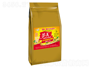 ���������Ͷ�Ԫ�ؠI(y��ng)�B(y��ng)ƽ���-ݸ��-�Ѻ����r(n��ng)