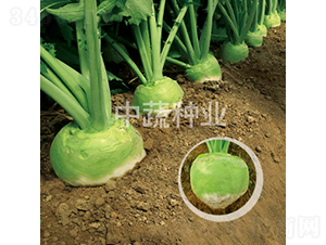 �A��65-�}���N��-���߷N�I(y��)