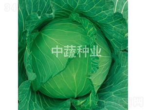 �и�101-���{(l��n)�N��-���߷N�I(y��)