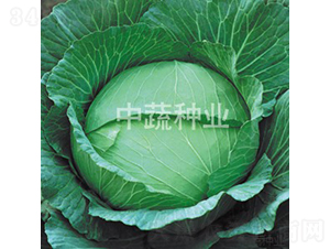 ���Sһ̖(h��o)���x-���{(l��n)�N��-���߷N�I(y��)