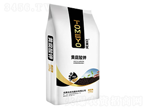 �S�����-������(y��u)-���컯�r(n��ng)�Y