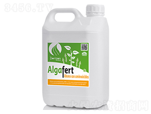 ����̼���-����-�����m��