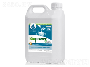 ����̼���-�ۏ�(qi��ng)��-�����m��