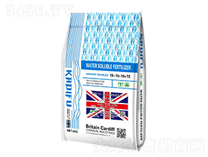 Ӣ��UK-Cardiff���î�1̖(h��o)ˮ�ܷ���19-19-19+TE-���Ϸ� 