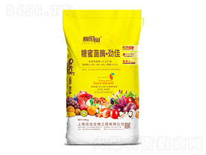 ���۾�ø���ż�-��(��i)����-�������