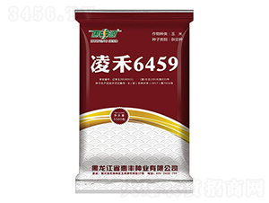 凌禾6459-玉米種子-惠豐源