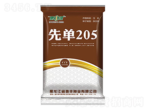 先單205-玉米種子-惠豐源