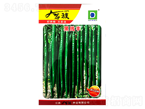 �ھ��S-�����N��-�����N�I(y��)