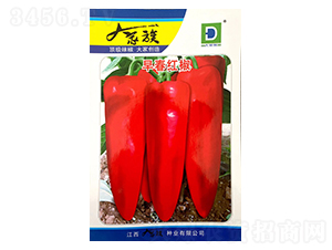 �紺�t��-�����N��-�����N�I(y��)