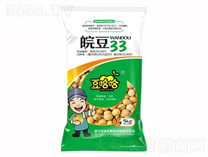 �33-������-��(sh��)�N�I(y��)