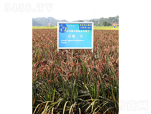 ���^һ̖(h��o)-ˮ���N��-��ɫ�r(n��ng)�S