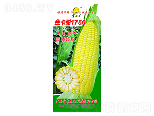 ����1750-���׷N��-���r(n��ng)�I(y��)