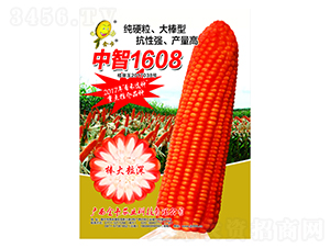 中智1608-玉米種子-金卡農(nóng)業(yè)