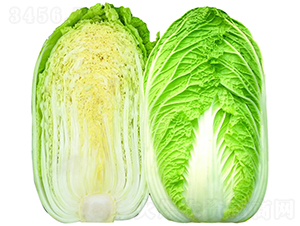 CR������ײ�-�ײ˷N��-�V��