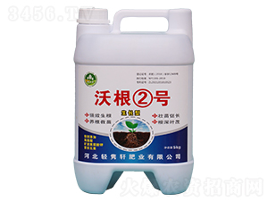 �ָ���̖-�֝MԴ-���W����