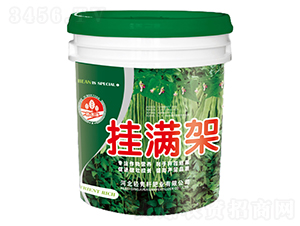 ��M��-�֝MԴ-���W����