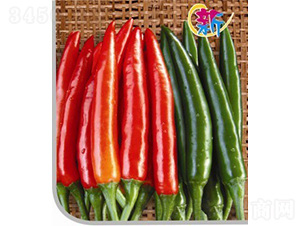 GL-9����-�����N��-�V��