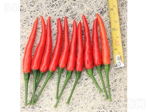 GL-12����-�����N��-�V��