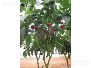 ��������-�����N��-�V��