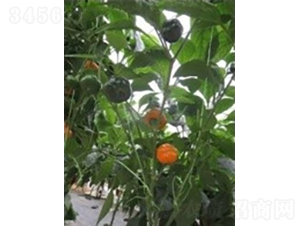 ��������-�����N��-�V��