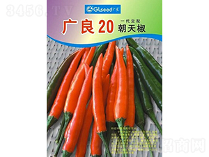 �V��20���콷-�����N��-�V��