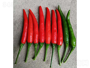 GL-26-�����N��-�V��