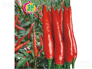 �V��3̖(h��o)���콷-�����N��-�V��