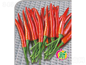 �V��17�����ɽ�-�����N��-�V��