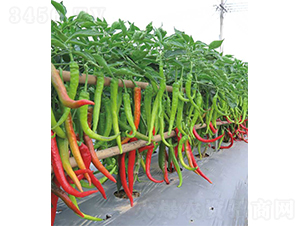 �V��1708����-�����N��-�V��