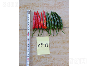 �V��39���콷-�����N��-�V��