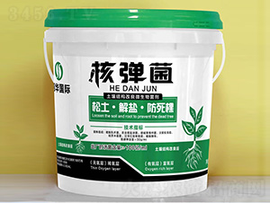 �����Y(ji��)��(g��u)����΢�������-�ˏ���-���A��(gu��)�H