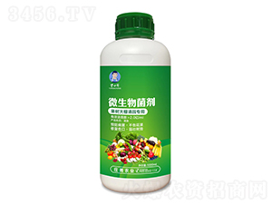 ���������@����΢�������-�I(y��ng)С��-�f���r(n��ng)�I(y��)