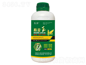 黃金玉含氨基酸水溶肥料-農(nóng)知喜