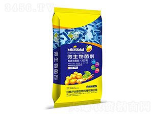 2�|���΢�������-�R���